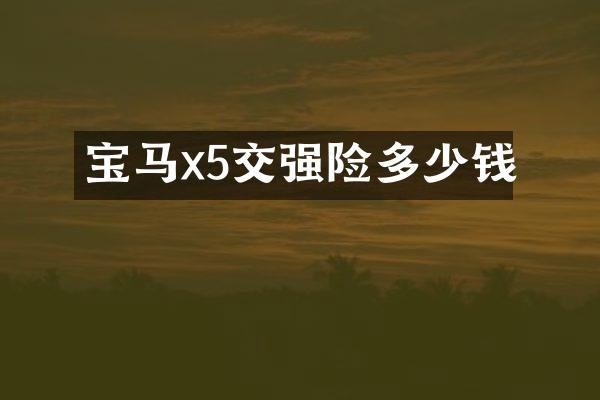 宝马x5交强险多少钱