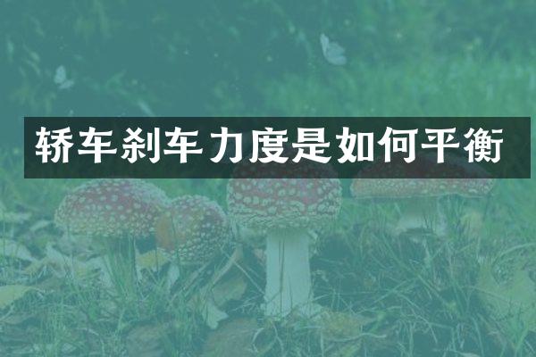 轿车刹车力度是如何平衡