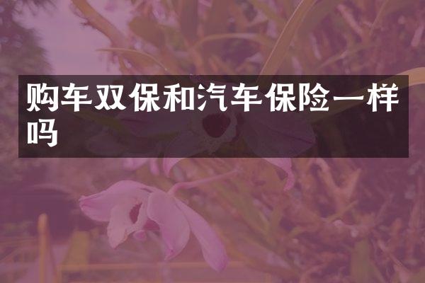购车双保和汽车保险一样吗