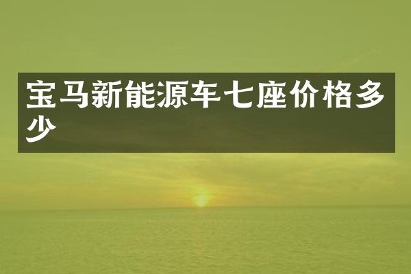 宝马新能源车七座价格多少