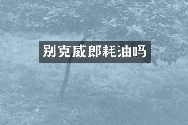 别克威郎耗油吗