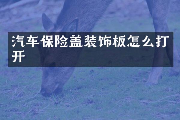 汽车保险盖装饰板怎么打开