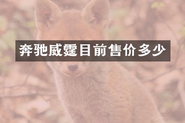 奔驰威霆目前售价多少