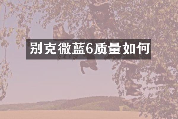 别克微蓝6质量如何