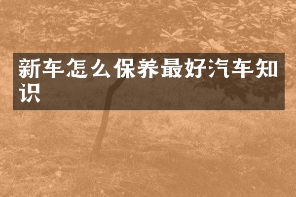 新车怎么保养最好汽车知识