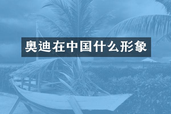 奥迪在中国什么形象