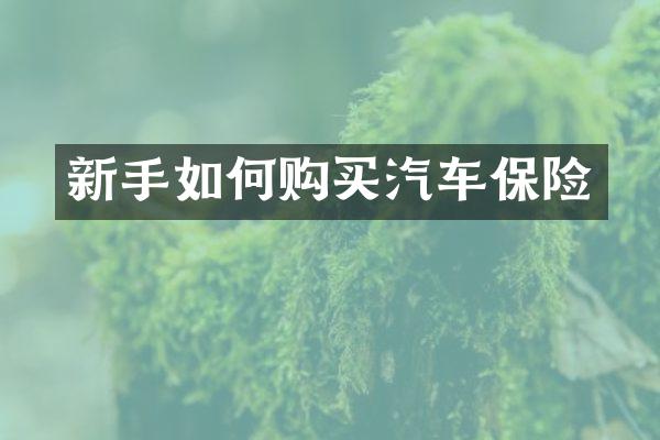 新手如何购买汽车保险
