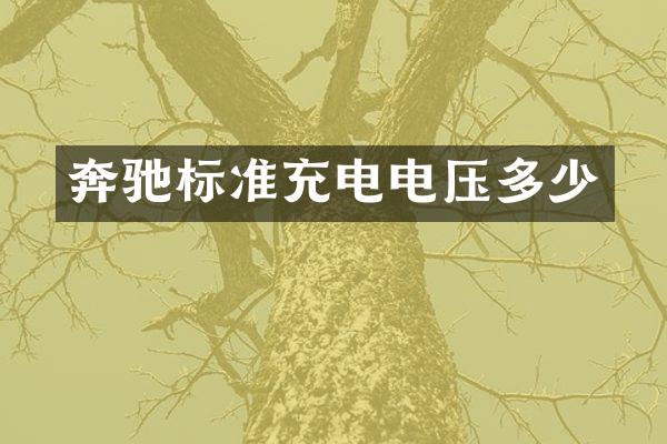 奔驰标准充电电压多少