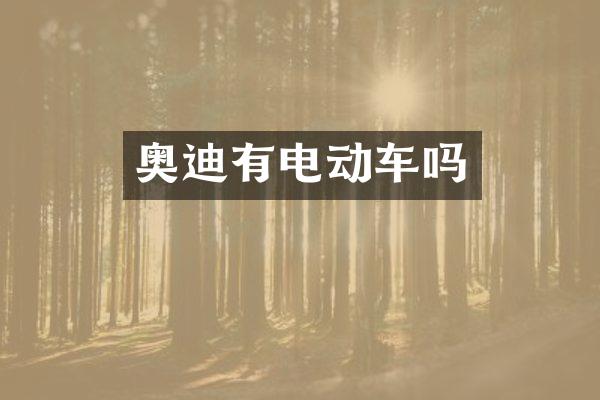 奥迪有电动车吗