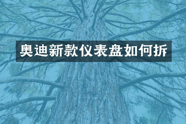 奥迪新款仪表盘如何拆