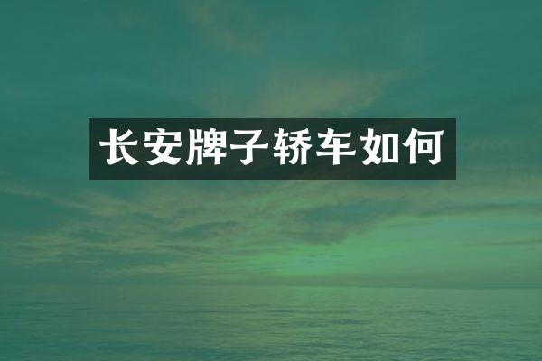 长安牌子轿车如何