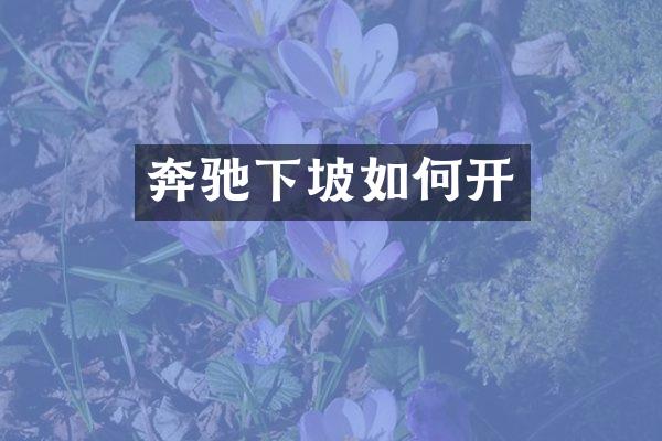 奔驰下坡如何开