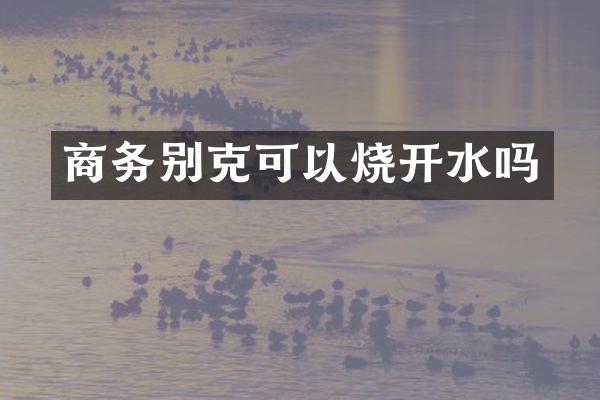 商务别克可以烧开水吗