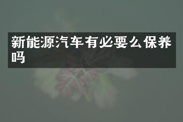 新能源汽车有必要么保养吗
