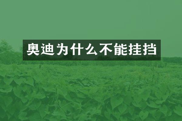奥迪为什么不能挂挡
