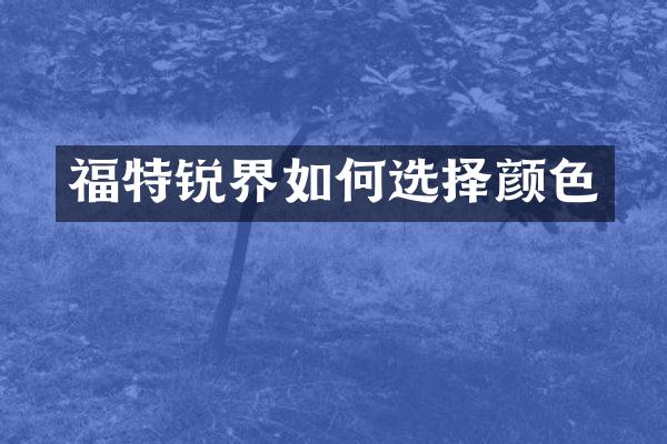 福特锐界如何选择颜色