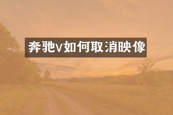 奔驰v如何取消映像