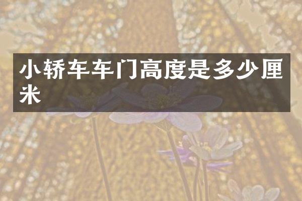 小轿车车门高度是多少厘米