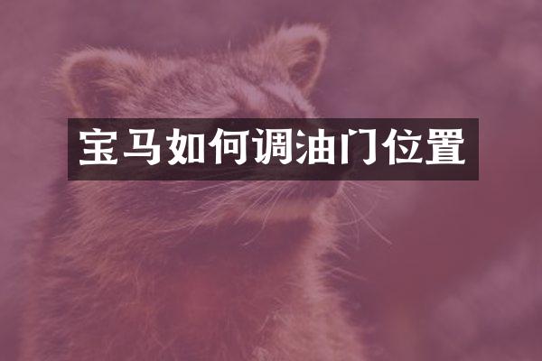 宝马如何调油门位置