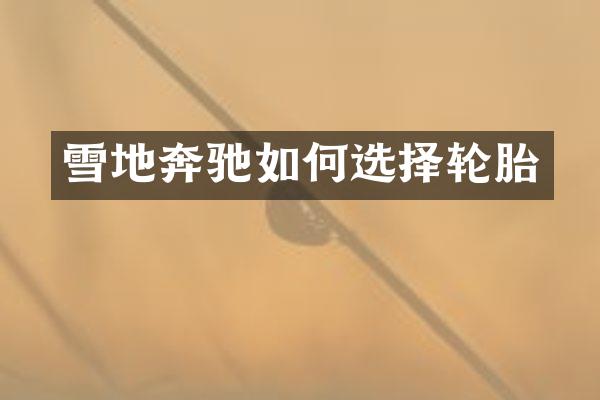 雪地奔驰如何选择轮胎