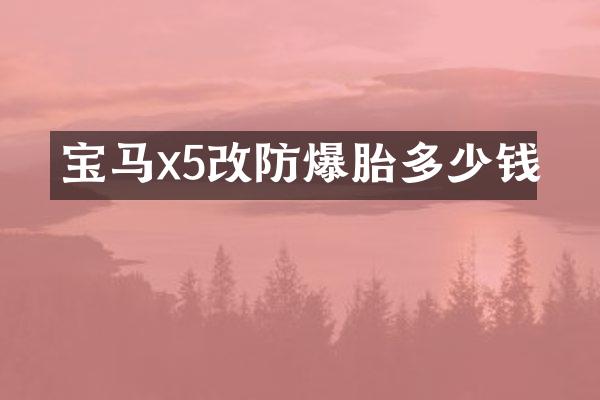 宝马x5改防爆胎多少钱