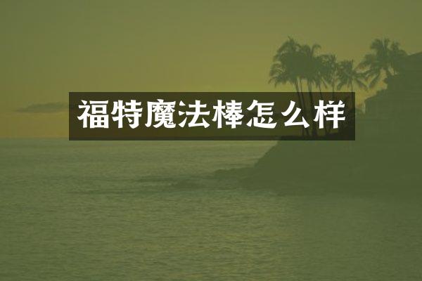 福特魔法棒怎么样