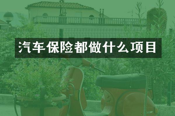 汽车保险都做什么项目