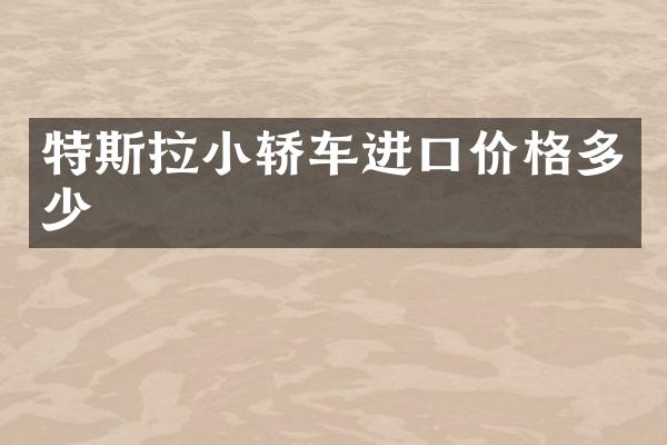 特斯拉小轿车进口价格多少