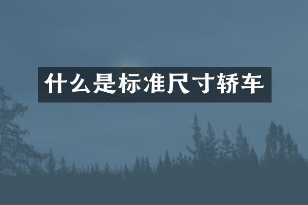 什么是标准尺寸轿车