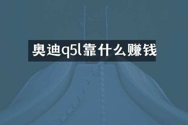 奥迪q5l靠什么赚钱