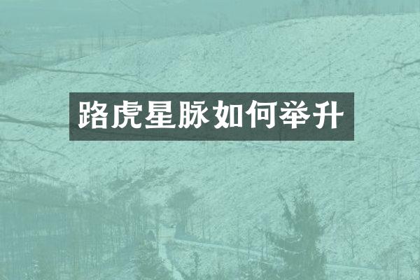 路虎星脉如何举升
