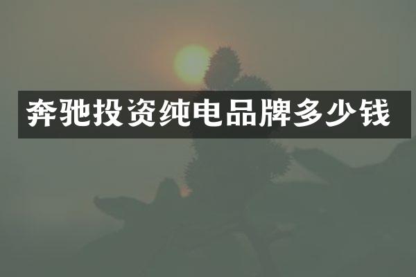 奔驰投资纯电品牌多少钱