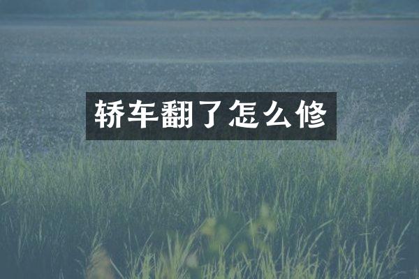 轿车翻了怎么修
