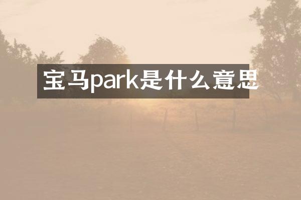 宝马park是什么意思