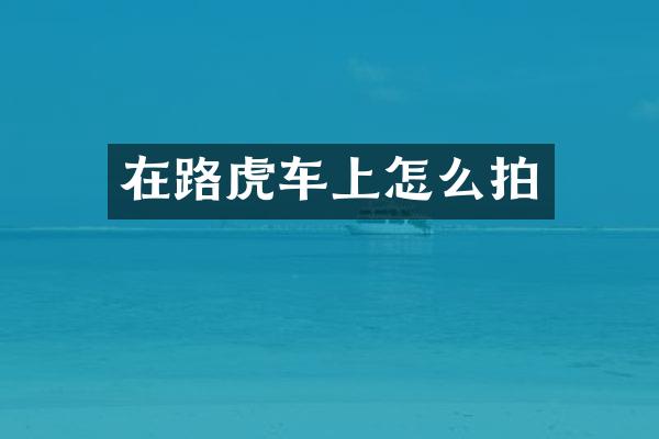 在路虎车上怎么拍