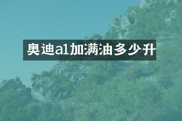 奥迪a1加满油多少升