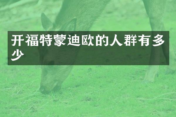 开福特蒙迪欧的人群有多少