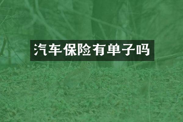 汽车保险有单子吗