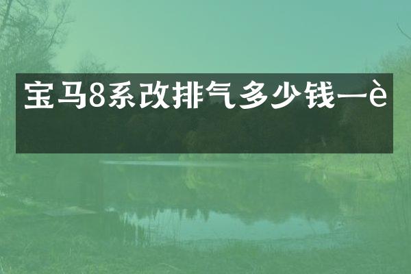 宝马8系改排气多少钱一辆