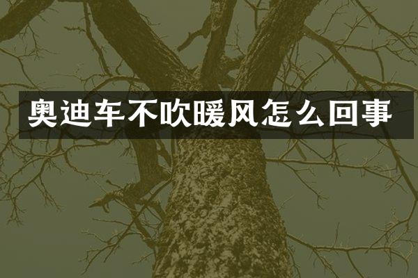 奥迪车不吹暖风怎么回事