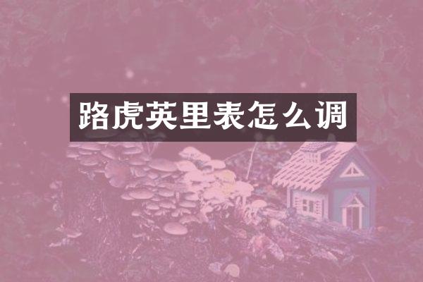 路虎英里表怎么调