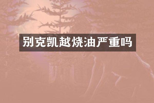 别克凯越烧油严重吗
