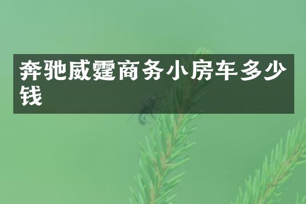 奔驰威霆商务小房车多少钱