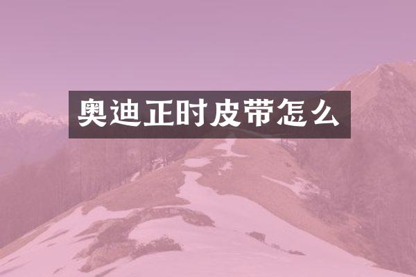 奥迪正时皮带怎么