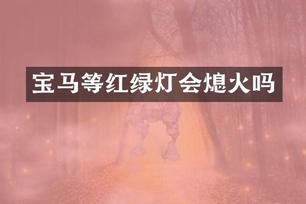 宝马等红绿灯会熄火吗