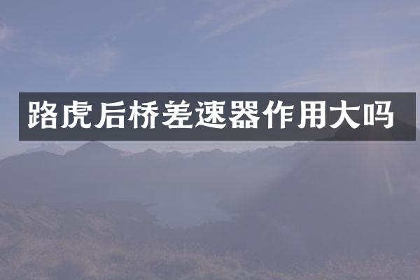 路虎后桥差速器作用大吗