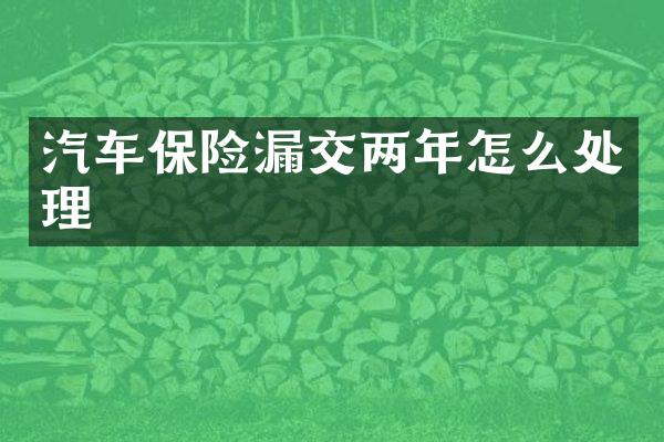 汽车保险漏交两年怎么处理