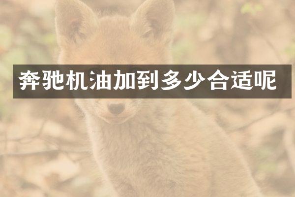 奔驰机油加到多少合适呢