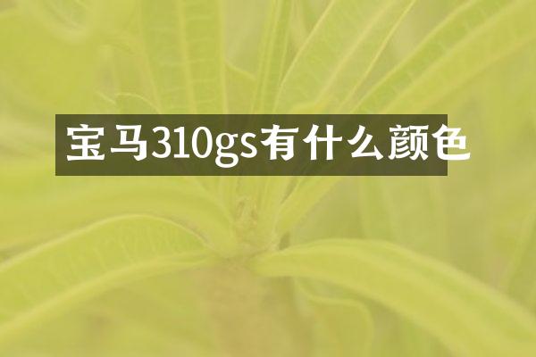 宝马310gs有什么颜色