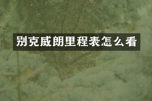 别克威朗里程表怎么看